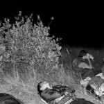 «И всё-таки она вертится.» (Галилей, астроном)